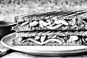 Veg Schezwan Grilled Sandwich