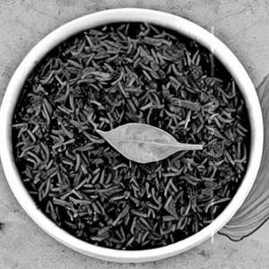 Palak Rice