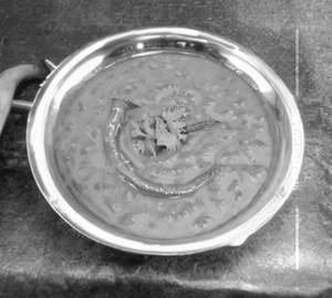 Dal Fry 