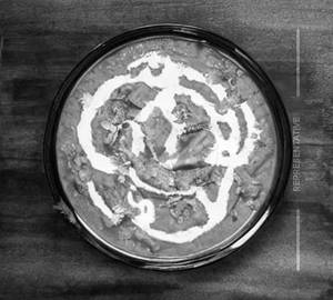 Shahi Paneer