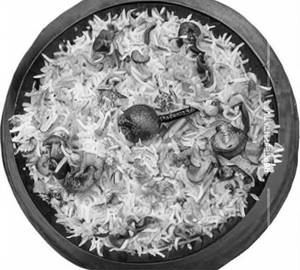 Mushroom biryani