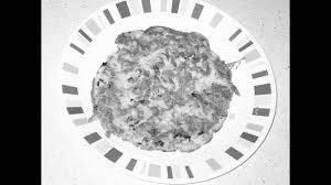 Egg Onion Omelet