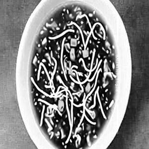 Chicken Manchow Soup