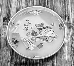 Clear Soup  [Chicken]