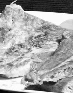 Egg Lapa Parotta