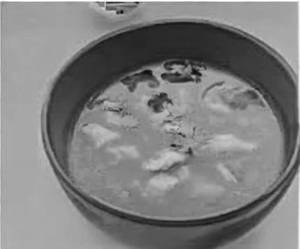 Murgh Yakhni Shorba