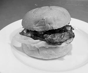 Shredded Chicken Burger