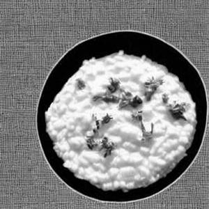 Curd Rice