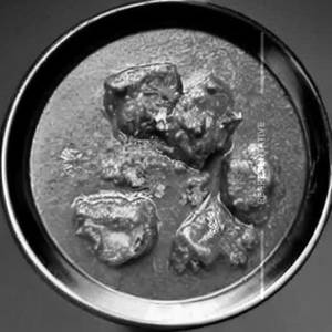 Mutton Kadhai