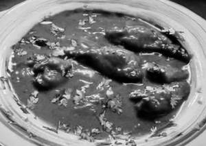 Chicken Garlic Gravy