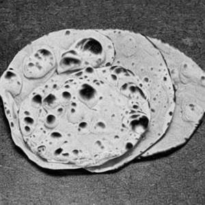 Roti