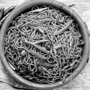 Veg Schezwan noodle