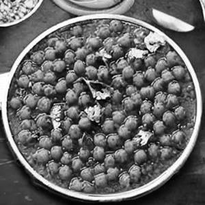 Channa Pindy