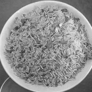 BISI BELE HULIANNA