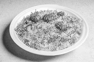 Shahi Biryani