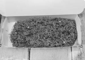 Schezwan Maggi