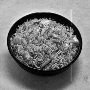 Manchurian Rice [Chicken]
