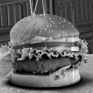Mini  Snacker Burger