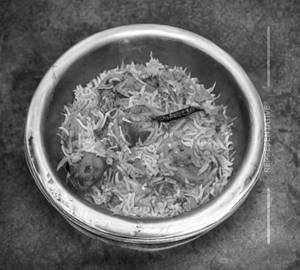 Tikka Biryani [Chicken]