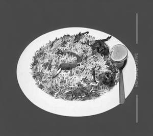 Mughalai Biryani