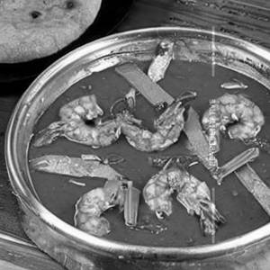Ginger Prawns Dry