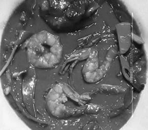 Prawns   Chilli sauce