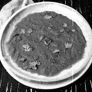 Besan Gatta
