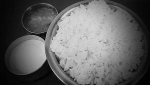 Steamed Rice
