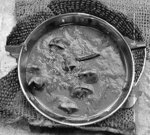 Kadai Mushroom