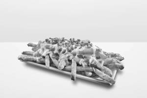 Loaded fries