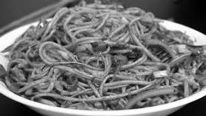 Veg chowmein [full]