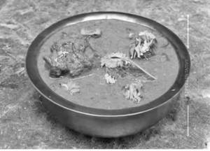 Mutton Tadka (Half)