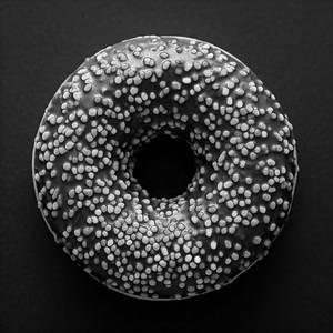 Chocolate Doughnut