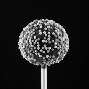 Cake Pop