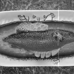 Apollo Fish