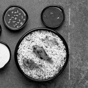 Chicken Dragaon Rice