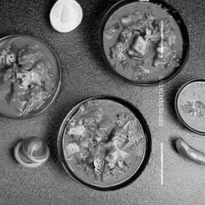 Veg Shakuti