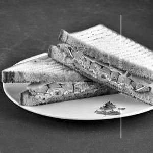 Vegetable Cheese Sandwich
