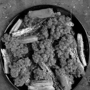 Veg Crispy