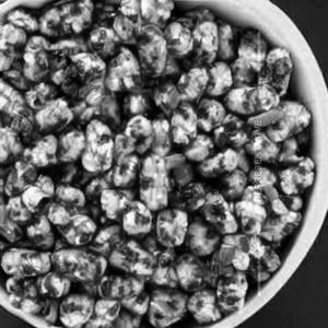 Crispy Corn