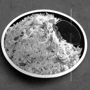 Omkar Special Fried Rice
