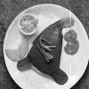 Apollo Fish