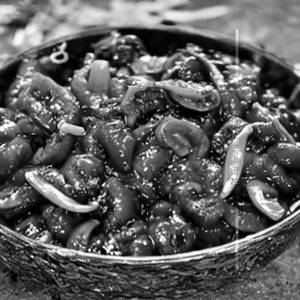Chilli Mushroom   