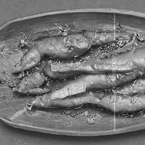 Apollo Fish