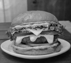Veg Cheese Sassy Burger