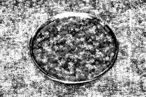 Veg. Kolhapuri Tadka