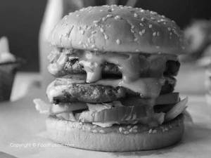 Double Patty Burger