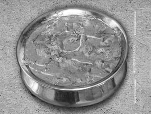 Chicken Handi