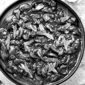 Mushroom Chilly