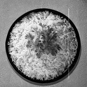 Plain rice
